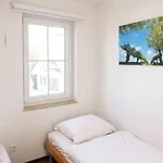 Feriehus Urlaub Mit Hund Im Haus Wicki By Interhome *